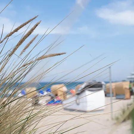 Schlafstrandkorb Nr. 4 럭셔리텐트